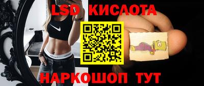 молекула духа Гатчина