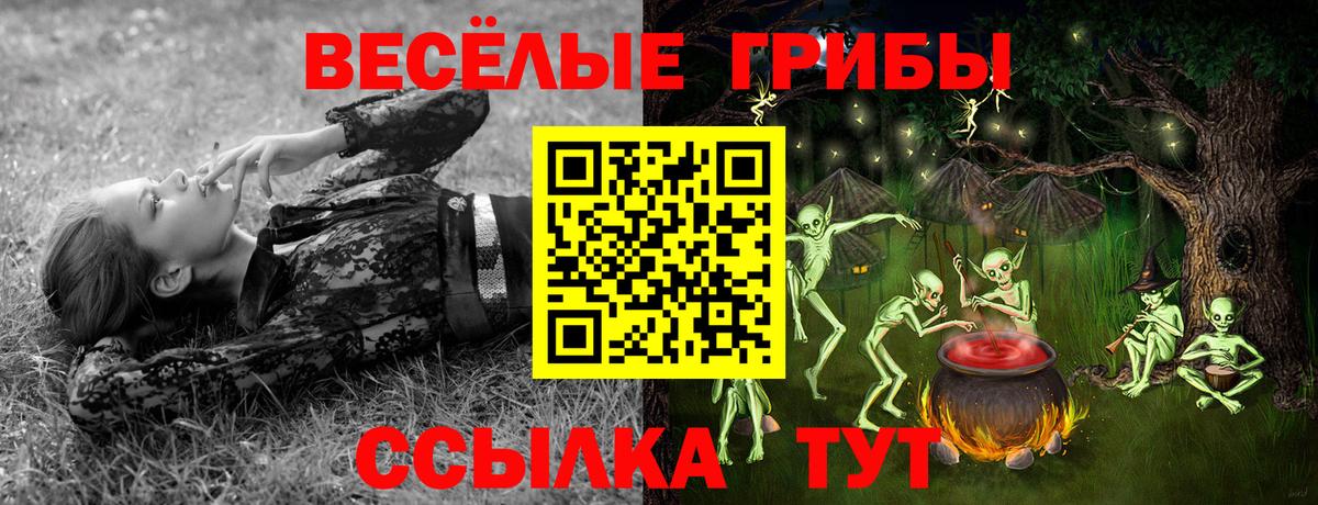 Кудрово  Псилоцибиновые грибы MAGIC MUSHROOMS  Вход с VPN 